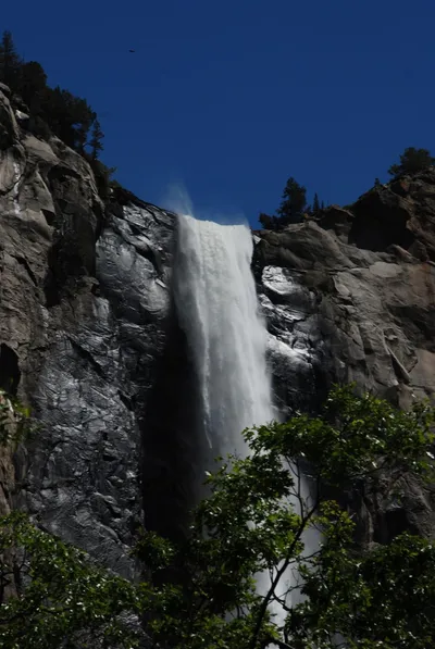 DSC_0055 (Large).JPG